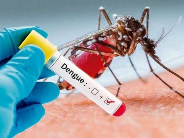 TELMACO BORBA REGISTRA DOIS CASOS POSITIVOS DE DENGUE E UM BITO EST EM INVESTIGAO