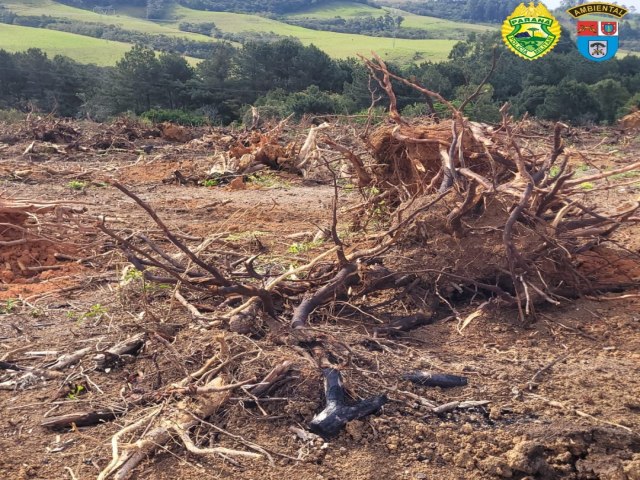 POLCIA AMBIENTAL REALIZA AO CONTRA DESFLORESTAMENTO EM RESERVA (PR)