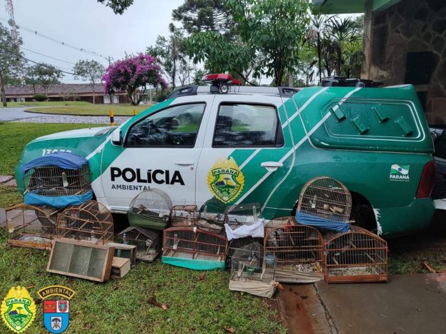 POLCIA AMBIENTAL APREENDE PSSAROS E MORADOR DE RESERVA  MULTADO 