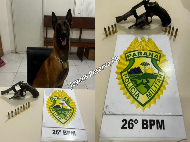 OPERAES COM CES APREENDE ARMA DE FOGO EM TELMACO BORBA (PR)