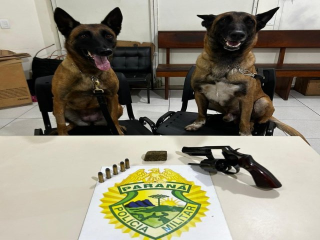 OPERAES COM CES DO 26 BPM APREENDEM ENTORPECENTES E ARMA DE FOGO EM TELMACO BORBA