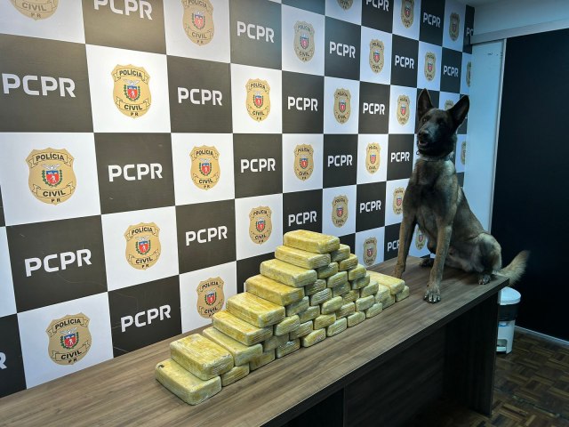 PCPR APREENDE 41,2 QUILOS DE CRACK EM PONTA GROSSA (PR)