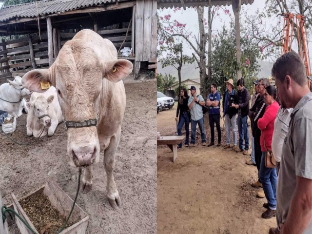 APROXIMADAMENTE 40 PRODUTORES PARTICIPAM DE TARDE DO CAMPO EM RESERVA/PR