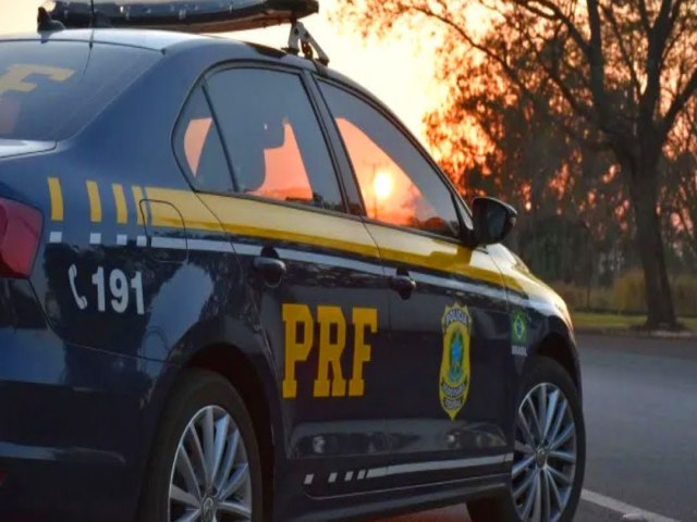 PRF ATENDE ATROPELAMENTO COM BITO NA BR-376 EM PONTA GROSSA/PR