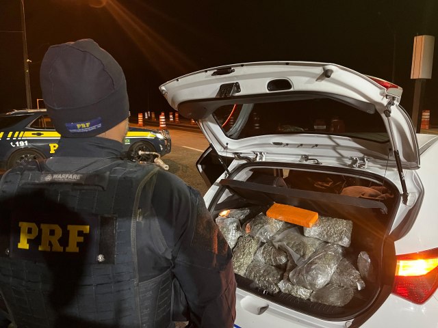 PRF APREENDE CERCA DE 350KG DE MACONHA SENDO TRANSPORTADO EM VECULO COM REGISTRO DE FURTO EM GUARAPUAVA-PR