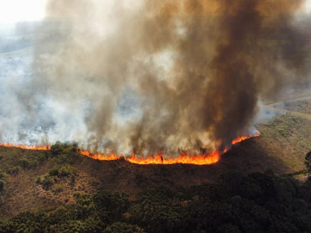 IAT AJUDA A COMBATER TRS NOVOS FOCOS DE INCNDIO FLORESTAL NO PARAN