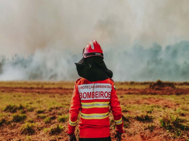 CORPO DE BOMBEIROS DO PARAN J ATENDEU MAIS DE 9,3 MIL INCNDIOS FLORESTAIS EM 2024