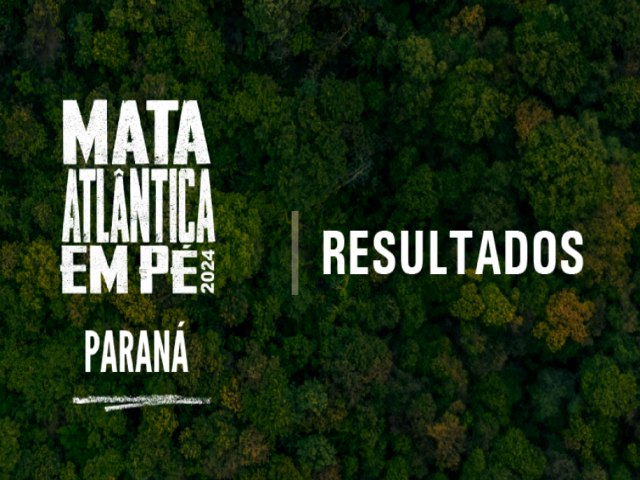 OPERAO NO PARAN IDENTIFICA 1,4 MIL HECTARES DE DESMATAMENTO E APLICA R$ 13 MILHES EM MULTAS