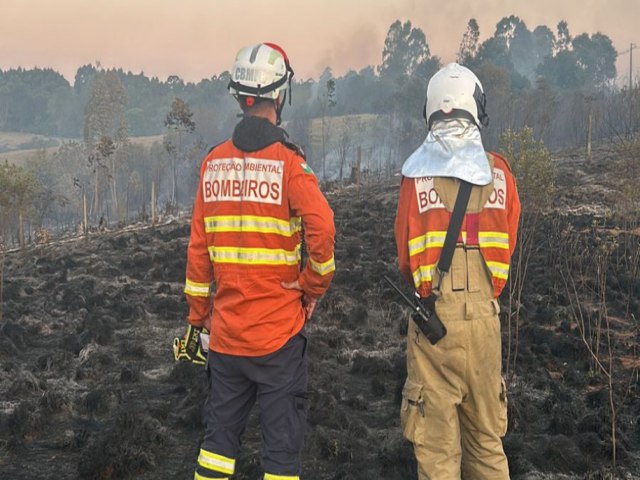 INCNDIOS FLORESTAIS NO PARAN CAEM 57% ENTRE A PRIMEIRA QUINZENA DE SETEMBRO E OUTUBRO