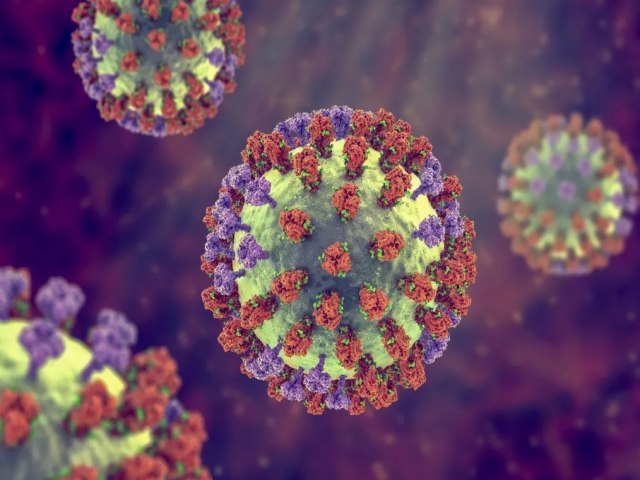 Selvria confirma primeiro caso de Influenza; Vacina est disponvel para todos os moradores com mais de seis meses em Selvria