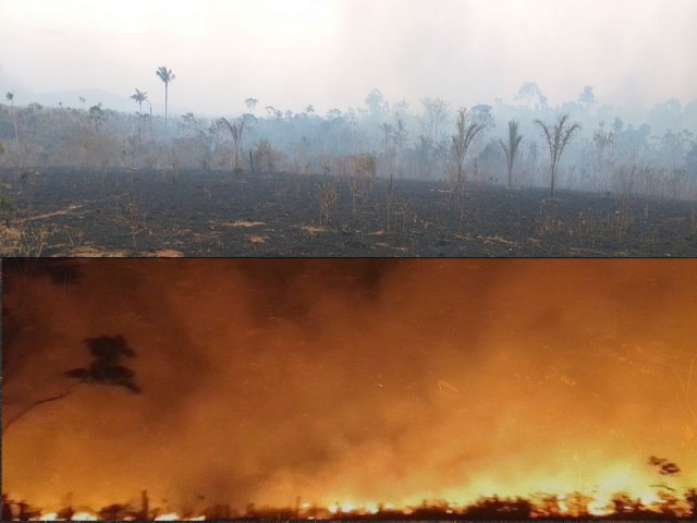 Amajari/RR declara situao de emergncia ambiental devido a queimadas intensas