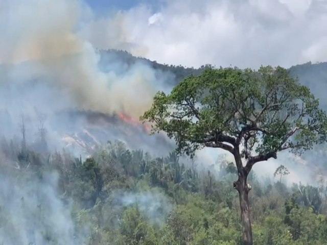 Governo decreta emergncia em nove municpios devido  estiagem e anuncia contratao de 240 brigadistas