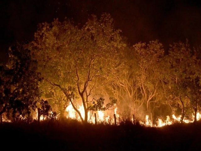 Roraima teve o pior fevereiro de fogo de sua histria