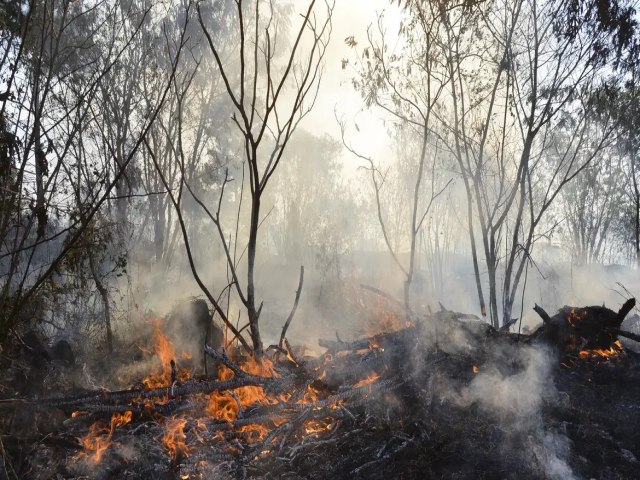 Prefeita declara situao de emergncia em So Joo da Baliza devido  estiagem