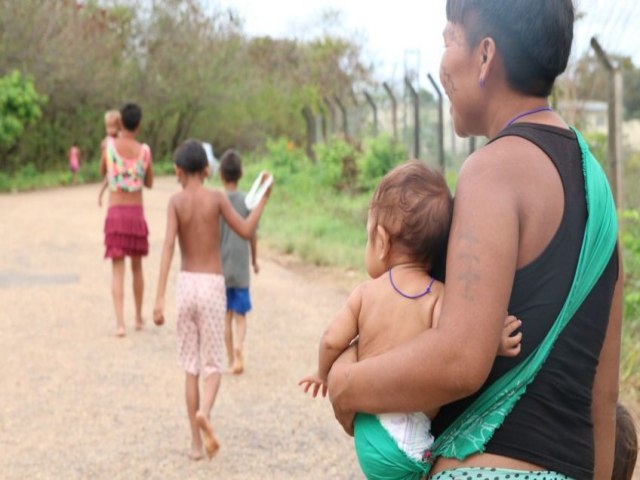 Governo Lula contratar empresa sem licitao para atuar na Terra Yanomami