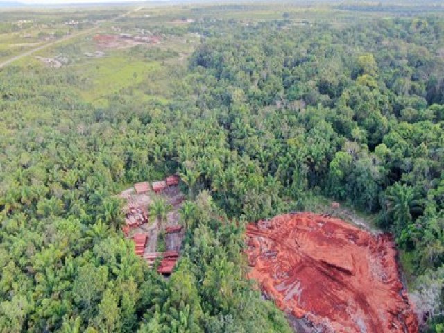 Roraima registra aumento do desmatamento em fevereiro de 2024