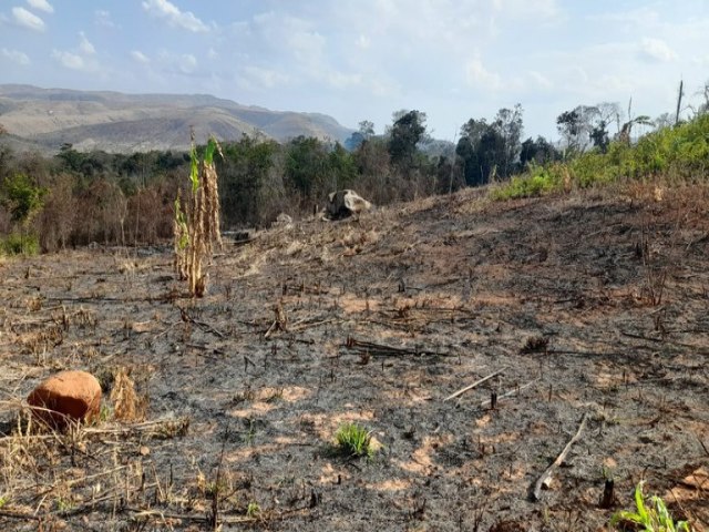 Seca deixa 14 municpios de Roraima em situao de emergncia