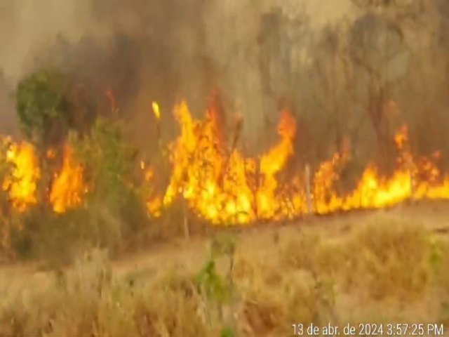 Com mais de 4 mil focos de fogo em 2024,  Roraima vive emergncia humanitria