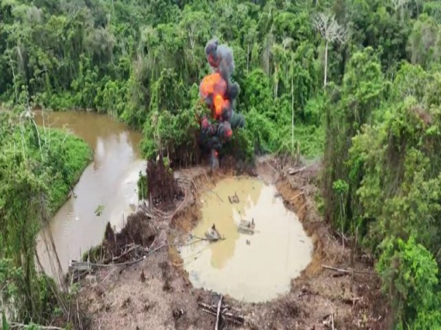 Acampamentos ilegais de garimpo so desfeitos na TI Yanomami