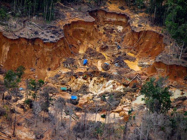 Comisso externa da Cmara vai investigar crise humanitria de Yanomamis 