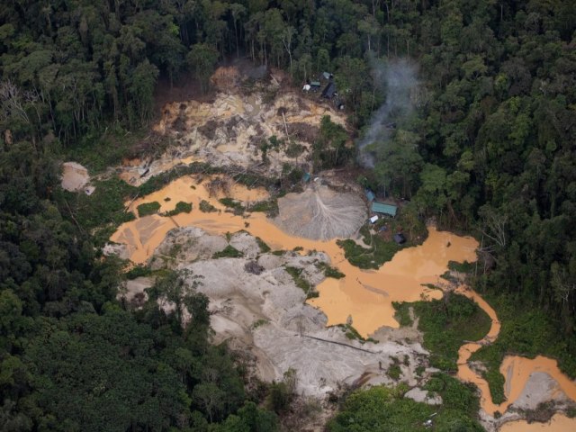 Povos Yanomami e Yekwana repudiam Comisso criada para investigar crise humanitria