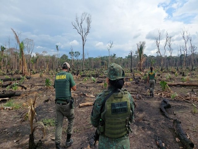 Com vagas para Roraima: Ibama solicita concurso pblico para 2.201 vagas de analistas