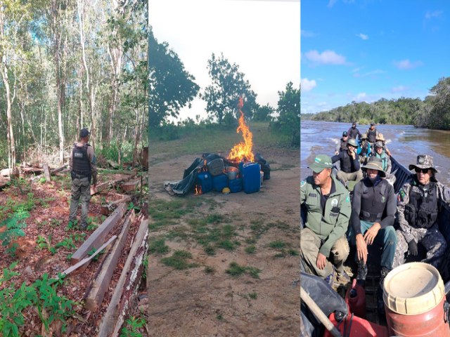 Operao coordenada resulta em apreenses na Estao Ecolgica de Marac, emRoraima