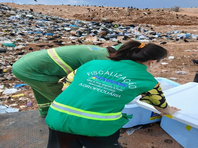 Mais de uma tonelada de alimentos irregulares apreendidos em Roraima