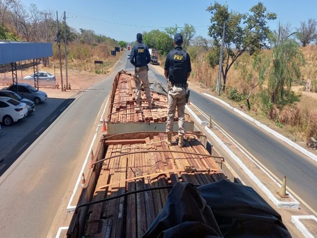 PRF apreende carga de madeira equivalente a quatro campos de futebol no Piauí
