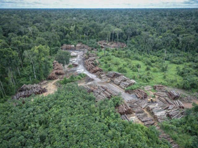 Na COP26, Brasil e mais de 100 países se comprometem a acabar com desmatamento