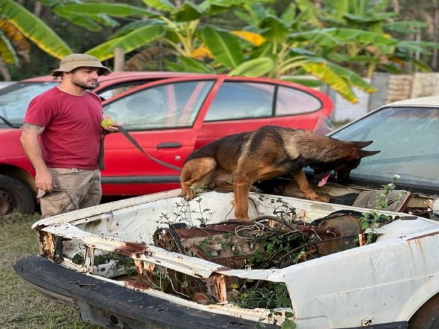 Polícia Civil de Picos terá apoio de cão farejador