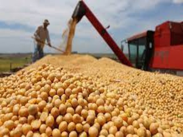 Safra de grãos do Piauí deve crescer 17,81% em 2022