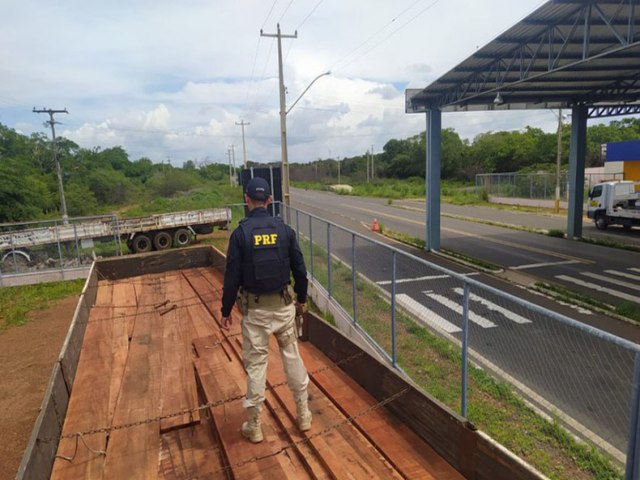 Caminhão com madeira ilegal é interceptado em rodovia no Piauí
