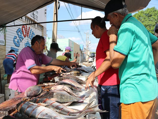 Em Picos, feirantes esperam aumentar venda de peixes durante Quaresma