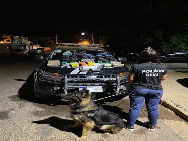 Polícia Civil deflagra Operação contra tráfico de drogas em Picos