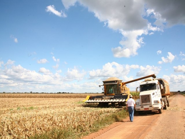 Área cultivada e produção de grãos crescem mais de 11% no Piauí