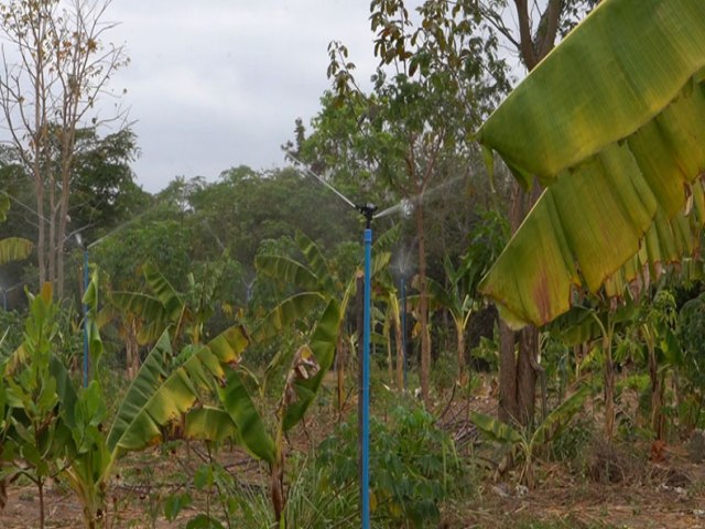 Kits de irrigação serão entregues a 10 municípios da região de Picos