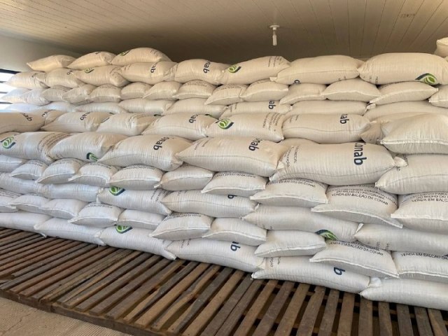 Balcão da Conab em Oeiras recebe mais 120 toneladas de milho