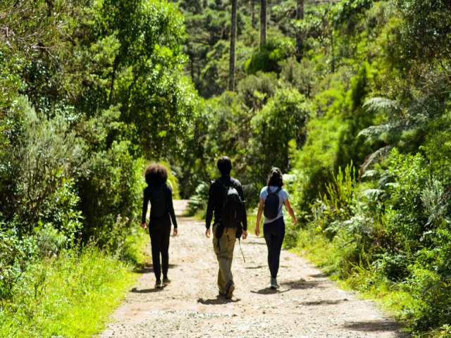 Pesquisa revela percepes da populao sobre os parques brasileiros