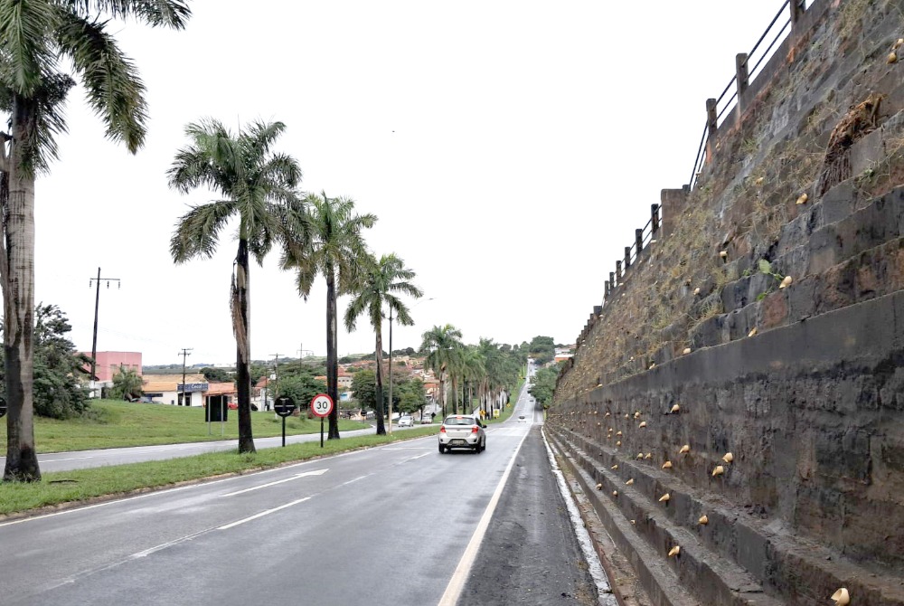 Em 4 meses, Via Raposo recupera 72km de pavimento e elimina 109km de degraus nos acostamentos
