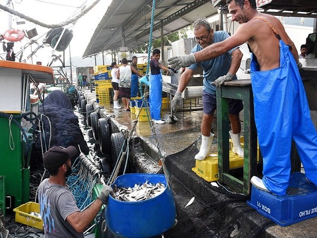 Prefeitura cede rea para descarga de pescado em Angra