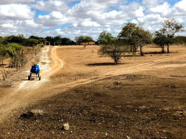 Governo de Alagoas reconhece situao de emergncia em 42 municpios