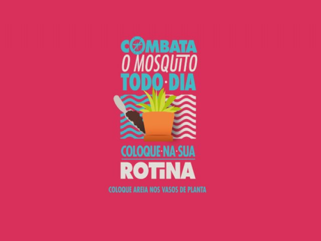 NORDESTE: Com perodo chuvoso, aumentam riscos de dengue, zika e chikungunya