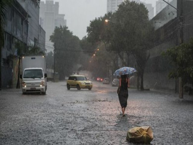Inmet emite alerta de perigo para chuvas intensas no Sudeste at tera-feira (8)
