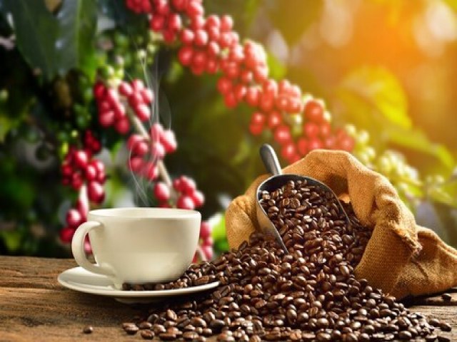 Produção de café tem previsão de crescimento de 5,6% na safra 2022, segundo Conab