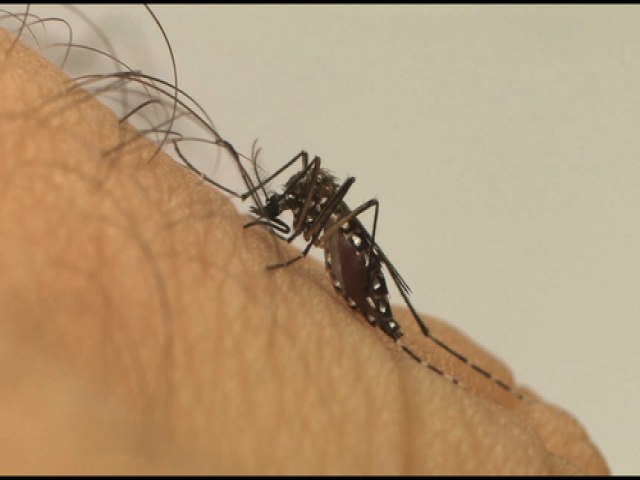Ministrio da Sade lana a Campanha Nacional de Combate ao Aedes aegypti