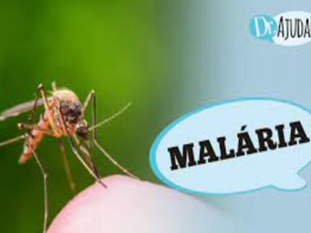 MALRIA: O que , sintomas e como evitar