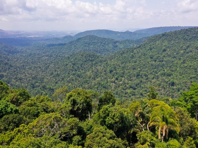 Mapa autoriza concessão de duas florestas nacionais no Amazonas
