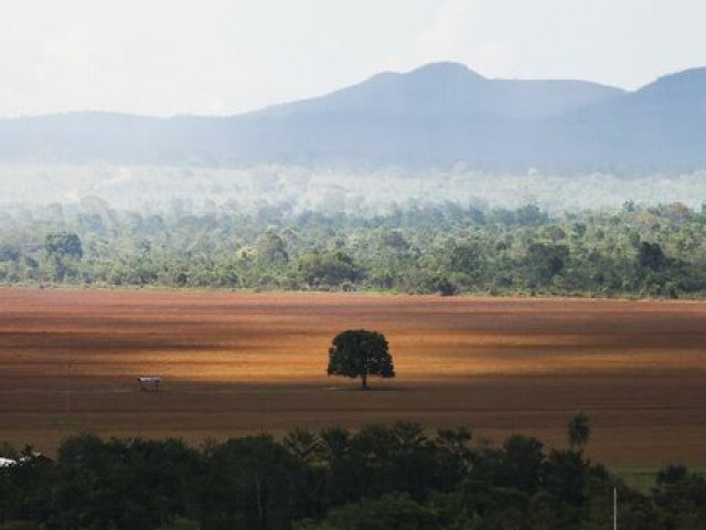 Estados governados por atuais ministros do governo Lula têm recorde de desmatamento