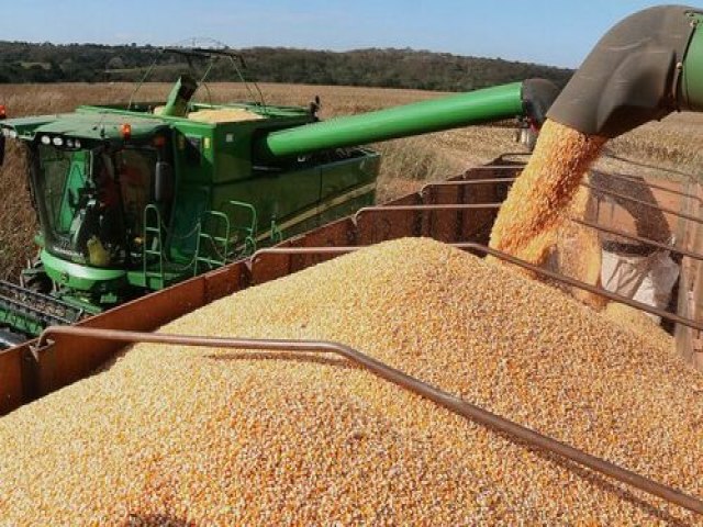 Estiagem e excesso de chuvas podem afetar qualidade da soja e atrasar o plantio do milho, alerta Conab